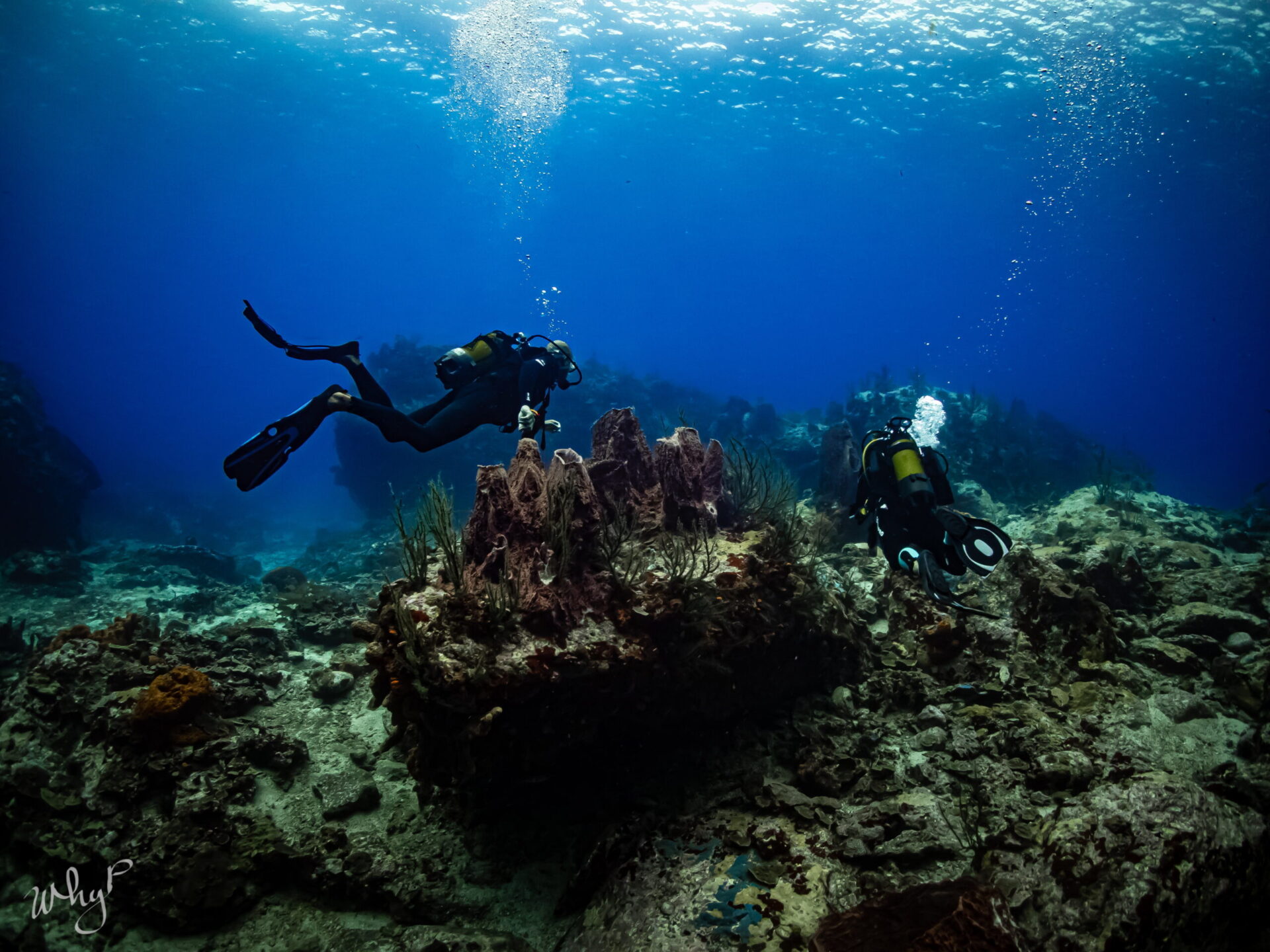 Plongée d’exploration sur un récif de Martinique